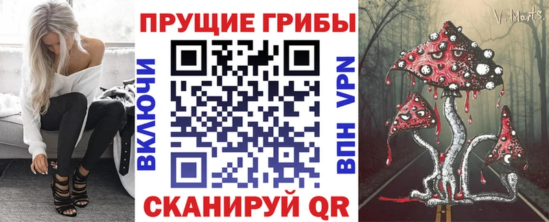 Галлюциногенные грибы мицелий  МЕГА маркетплейс  Никольское  купить наркотики сайты 